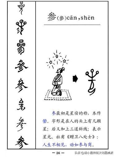 汉字字体的演变 顺序图片